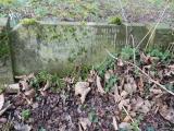 image of grave number 612593